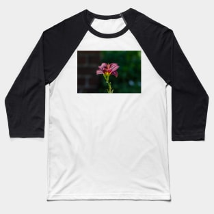 Day Lily Portrait Baseball T-Shirt